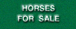 Horses for Sale